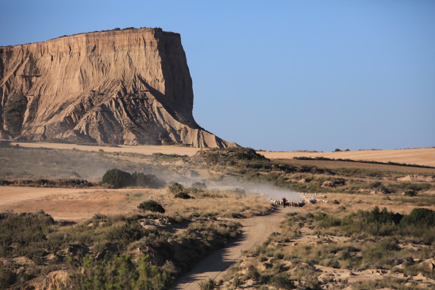 Vehículos levantan polvo en una pista de las Bardenas